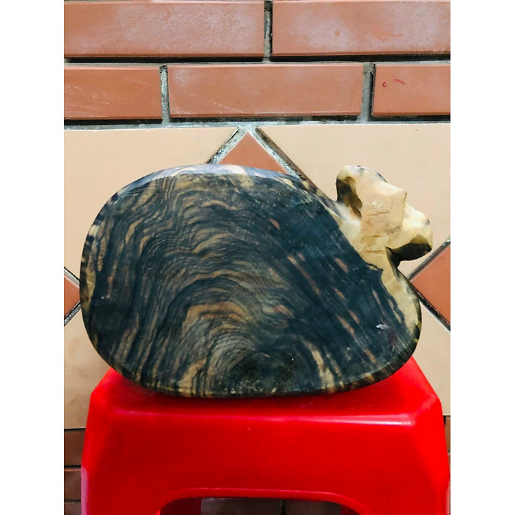 Tượng con mèo điêu khắc bằng gỗ mun (30x26x17cm) - Ảnh 4