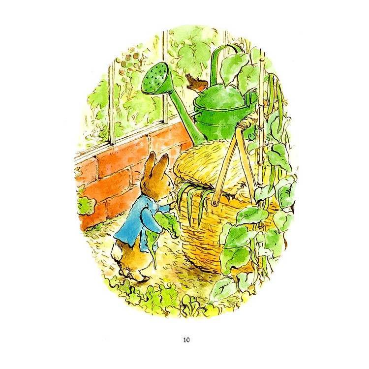 Thỏ Peter - Chuyện Bây Giờ Mới Kể: Nhà Vô Địch Peter (Tái Bản 2021) - Ảnh 7