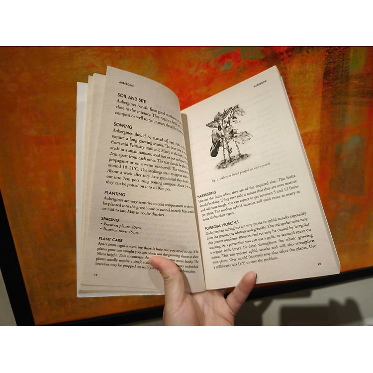 Vegetables and Herbs for the Greenhouse and Polytunnel - Ảnh 6