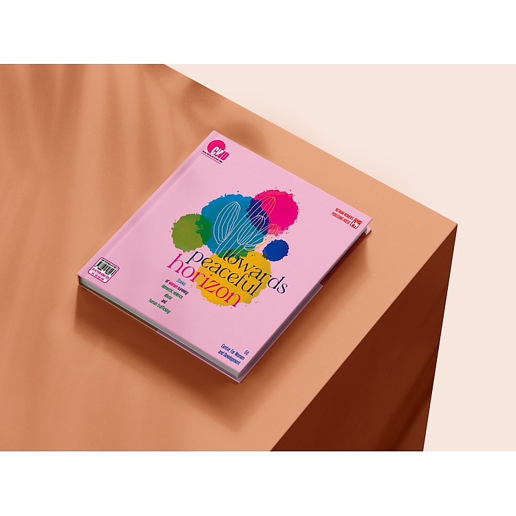 Đi Về Phía Bình Yên – Câu Chuyện Của Chị Em Bị Bạo Lực, Xâm Hại Và Mua Bán Người - Ảnh 2