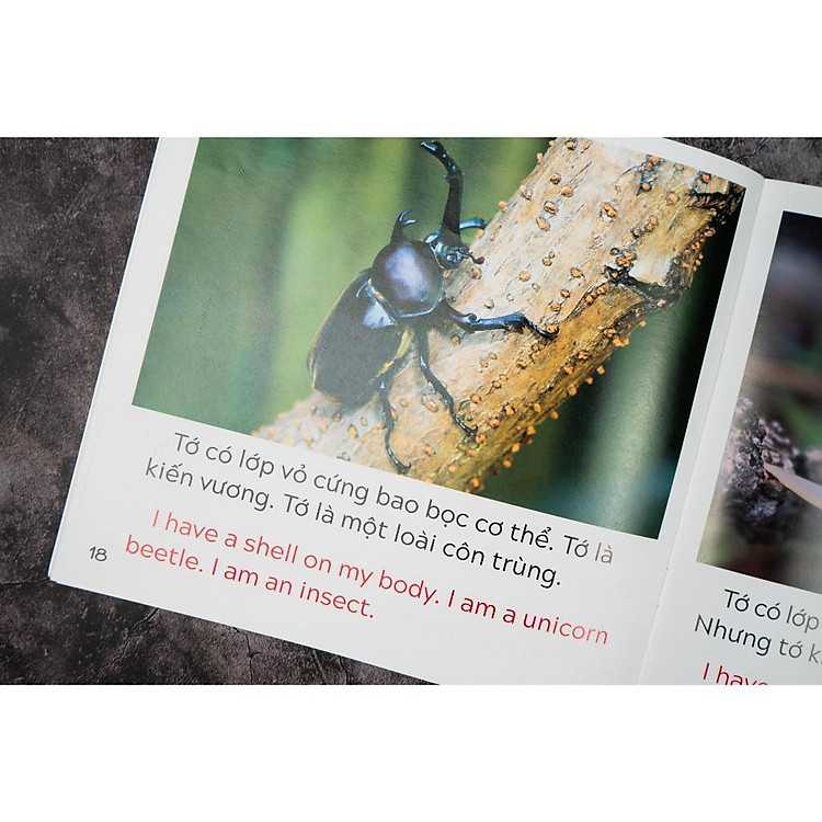 Khám Phá Thế Giới - Song Ngữ Việt Anh - Cho Trẻ 3 - 9 Tuổi - Ảnh 4