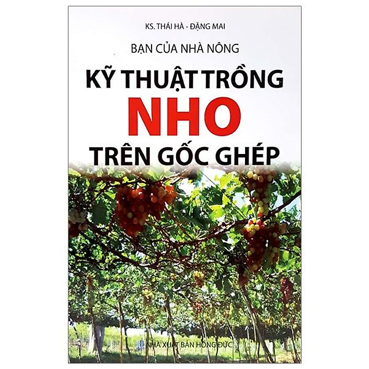 Bạn Của Nhà Nông – Kỹ Thuật Trồng Nho Trên Gốc Ghép