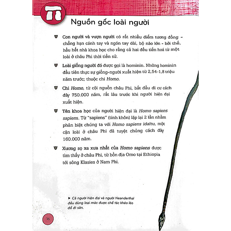 Bách Khoa Thư Lịch Sử - Từ Tiền Sử Đến Thời Đại (Tái Bản) - Ảnh 3