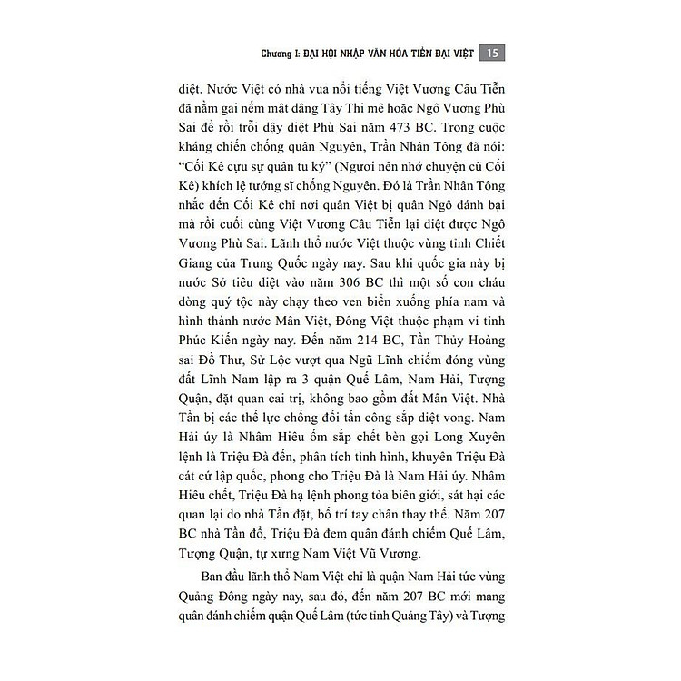 Văn Minh Đại Việt - Ảnh 2