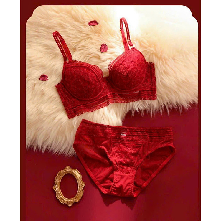 Bộ Đồ Lót Nữ Có Gọng Không Mút Ren Hoa Lưng Chữ U Thấp Gợi Cảm - VB249