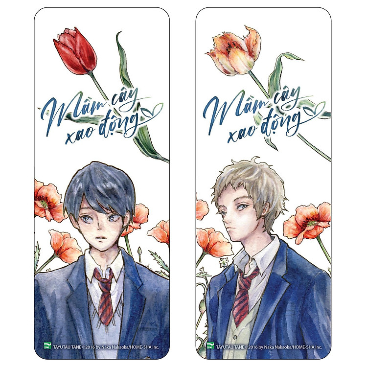 Boxset Tulip x Mimosa - Mầm Cây Xao Động + Cây Lá Mùa Xuân - Ảnh 5