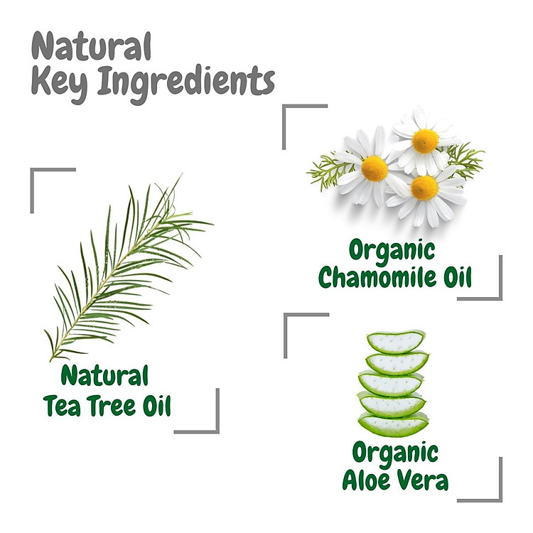 Bộ 3 Hộp Khăn Giấy Ướt Aleva Ưu đãi - Hình ảnh 2