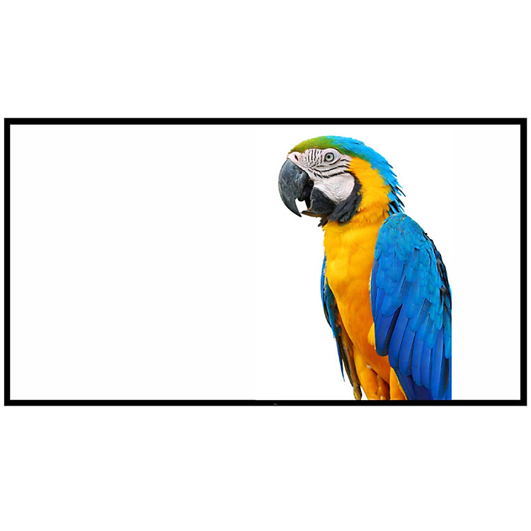 Màn Chiếu Kagaku 100 Inches