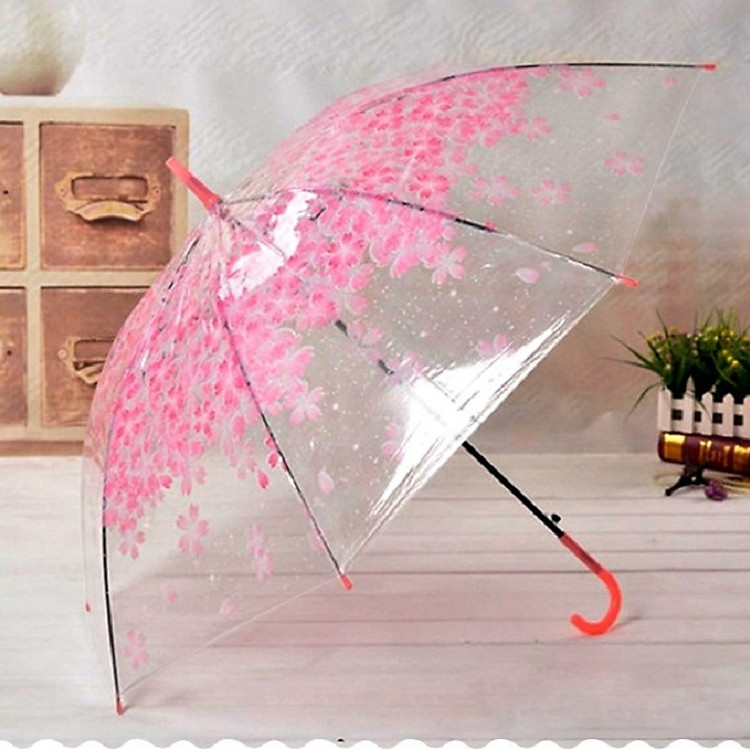 Dù trong suốt hoa anh đào