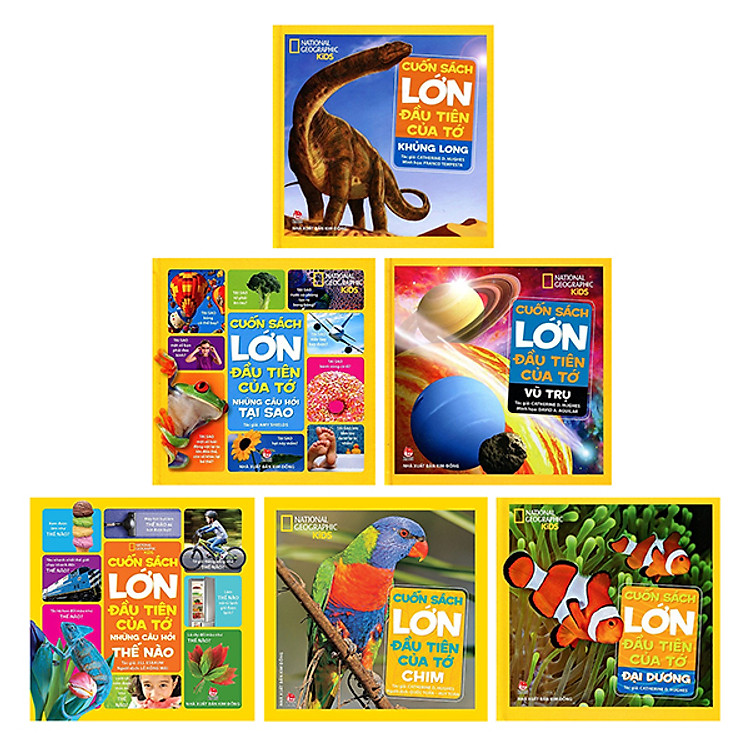 Bộ 6 Cuốn Sách Lớn Đầu Tiên Của Tớ