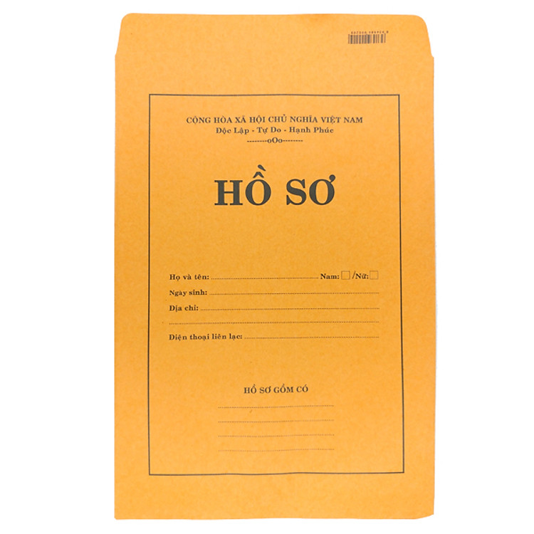 Bộ 10 Bao Thư Hồ Sơ A4 Vàng