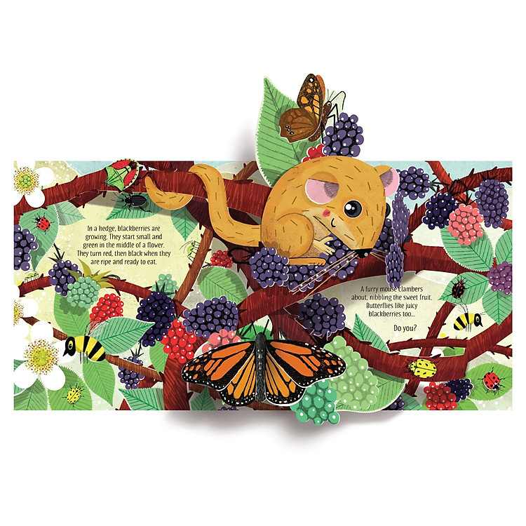 Tương Tác Tiếng Anh - Pop-up Nature - Ảnh 3