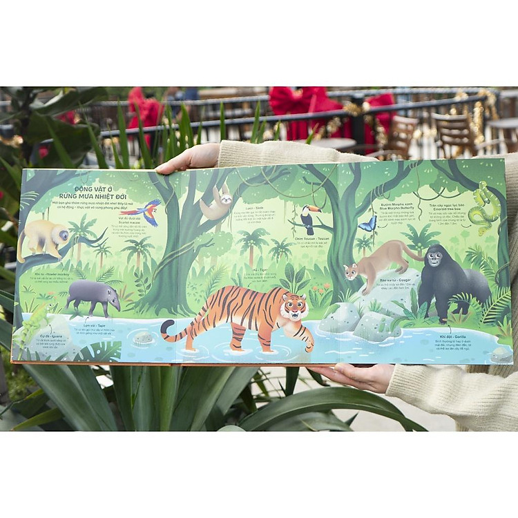 Cuốn sách khổng lồ về động vật hoang dã - Big book of wild animals - Ảnh 5