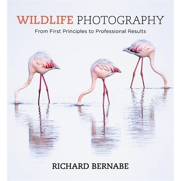 Wildlife Photography by Richard Bernabe – From First Principles To Professional Results
