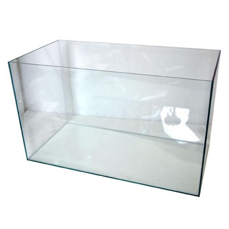 Hồ kính 30x20x20