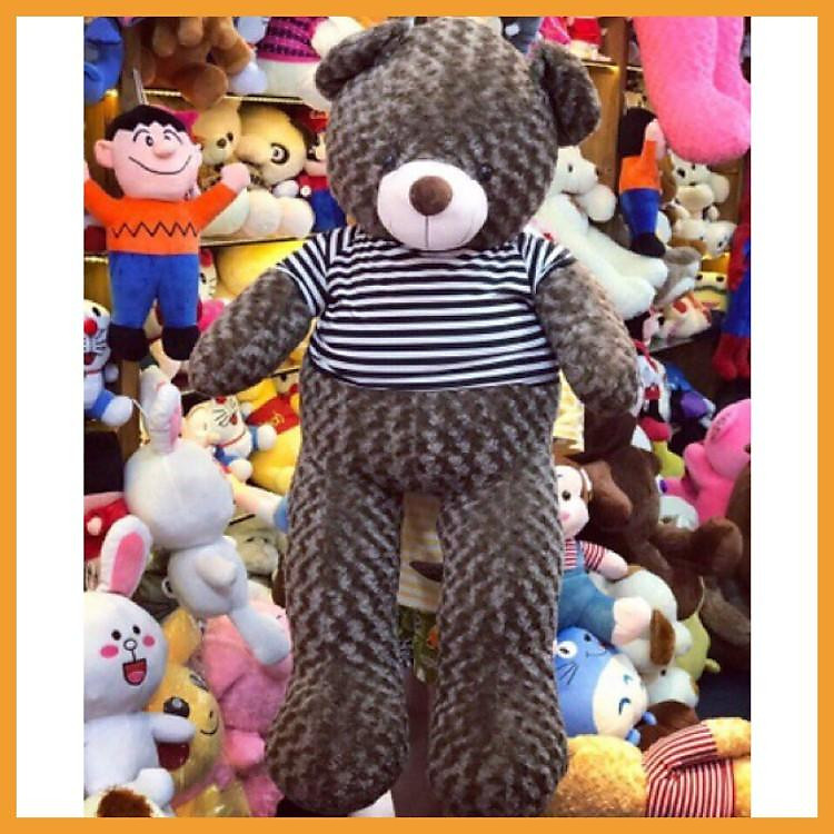 Gấu bông to teddy khổng lồ ôm ngủ cho người lớn kích thước 1m5 1m8