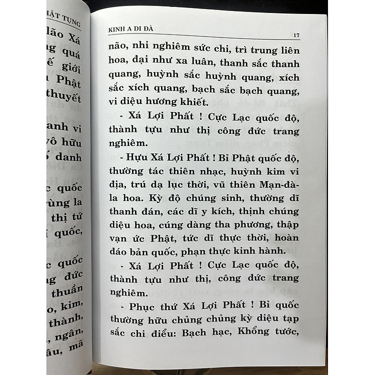 Chư Kinh Nhật Tụng - Ảnh 6