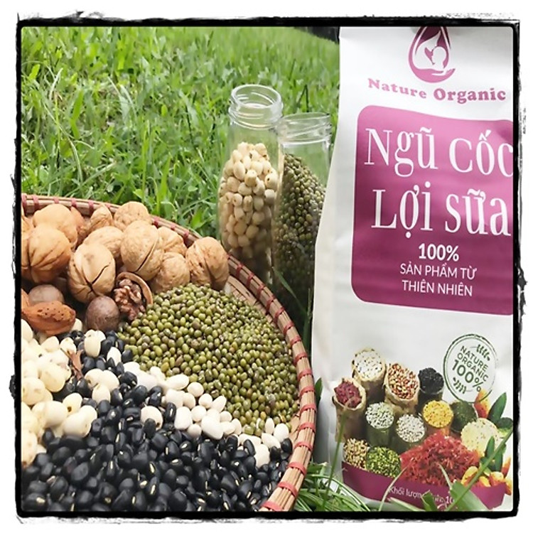 NGŨ CỐC LỢI SỮA