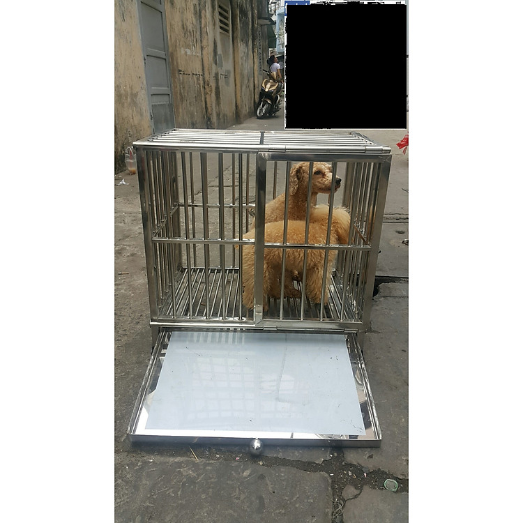 Chuồng Inox cho chó mèo đủ kích thước, Hàn chết cố định, Không Tháo ráp