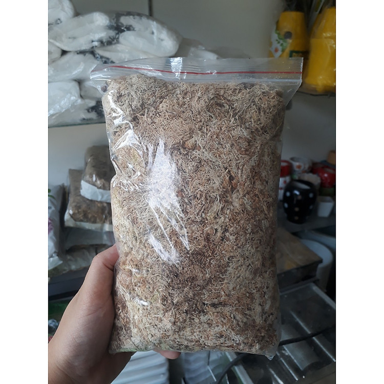 Dớn trồng lan, dớn Chile (dớn mềm) 100gr