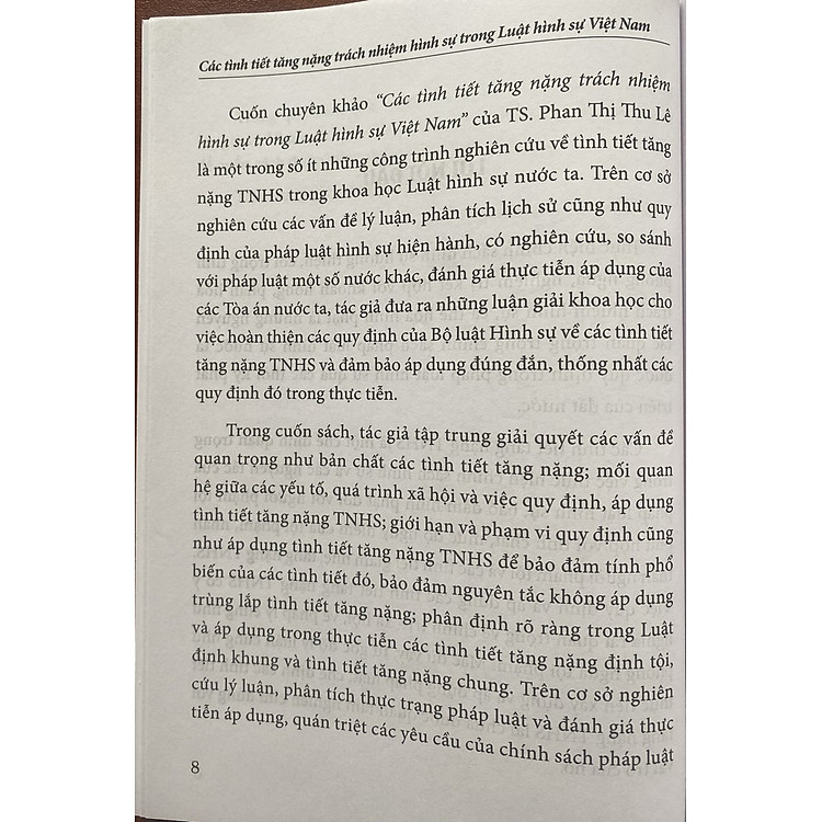 Các Tình Tiết Tăng Nặng Trách Nhiệm Hình Sự Trong Luật Hình Sự Việt Nam - Ảnh 4