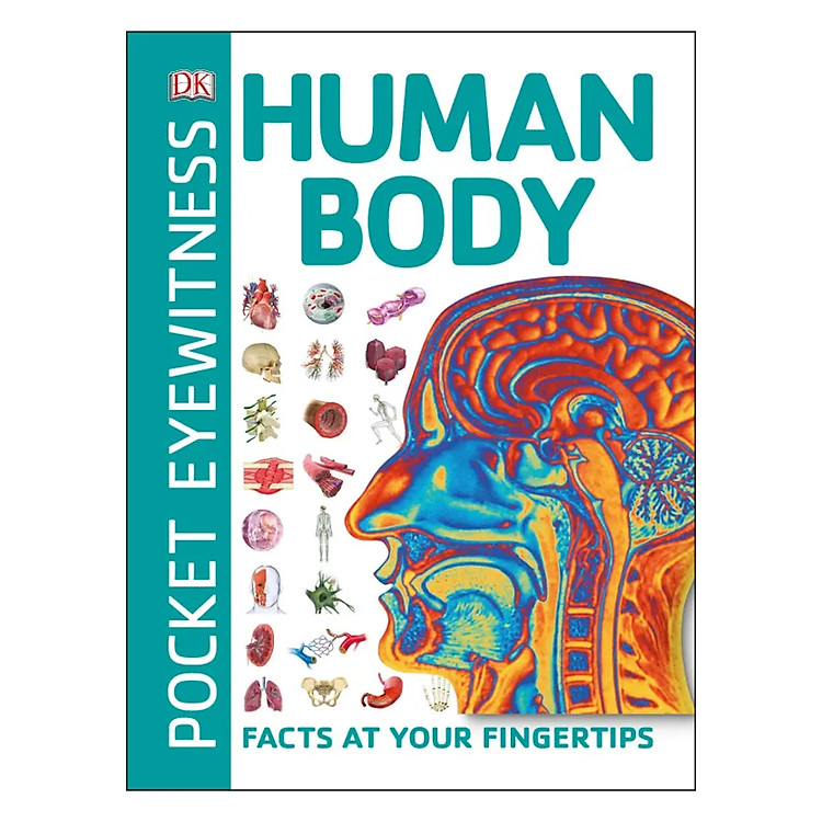 Sách Pocket Eyewitness Human Body