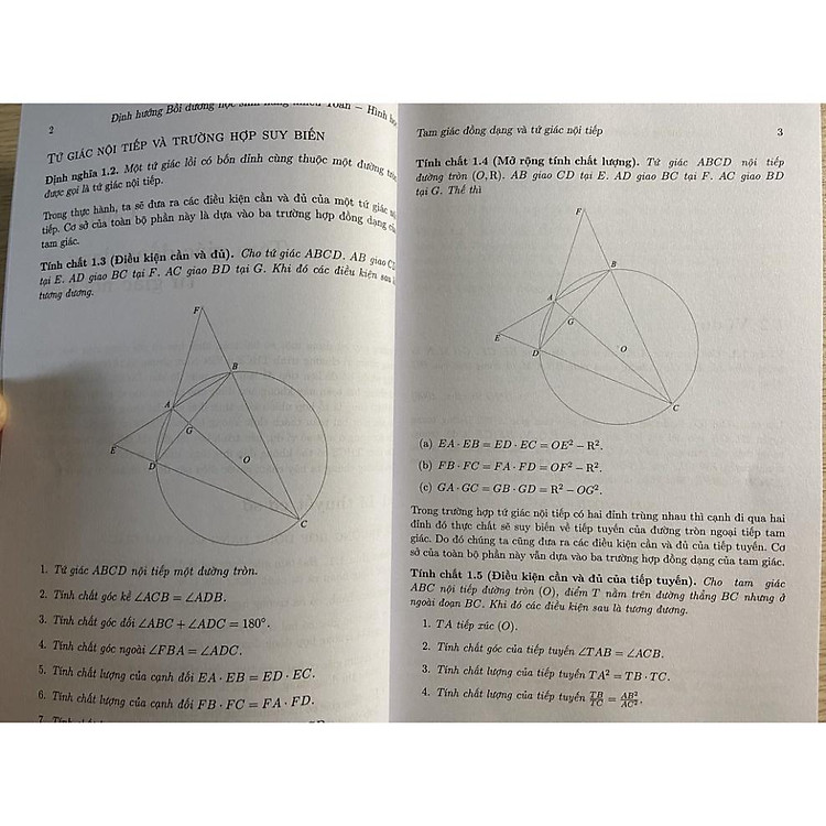 Định Hướng Bồi Dưỡng Học Sinh Năng Khiếu Toán Tập 2 - Hình Học - Ảnh 3