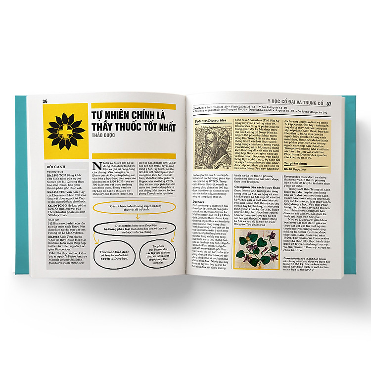 Y học - Khái lược những tư tưởng lớn - Ảnh 4