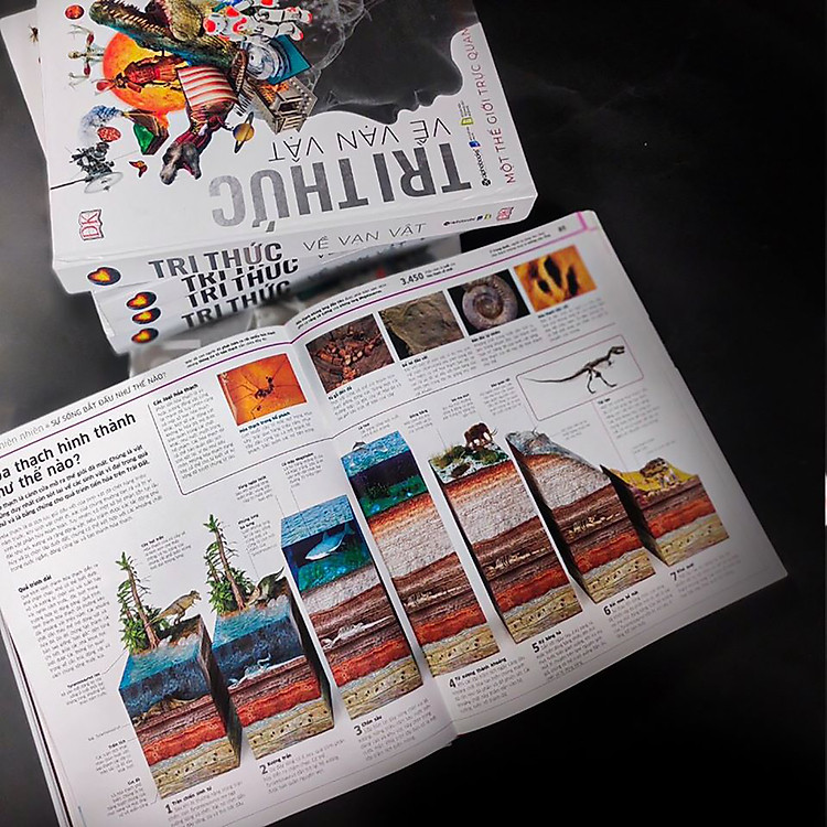 Tri Thức Về Vạn Vật: Một Thế Giới Trực Quan Chưa Từng Thấy - 2023 - Ảnh 5