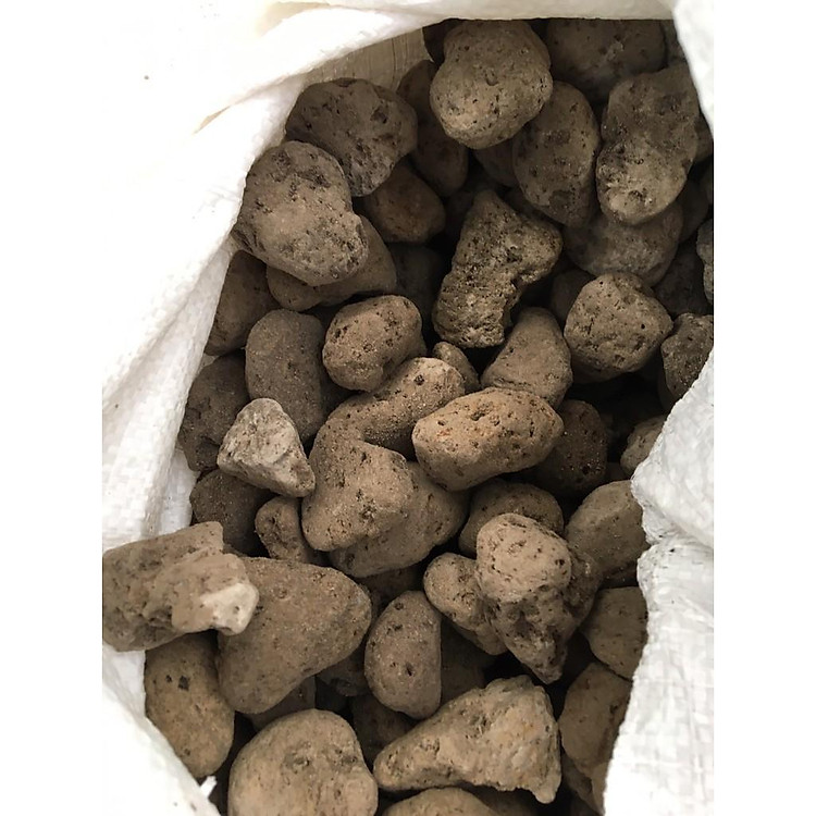 Đá bọt cỡ 2cm đến 3 cm -1 kg