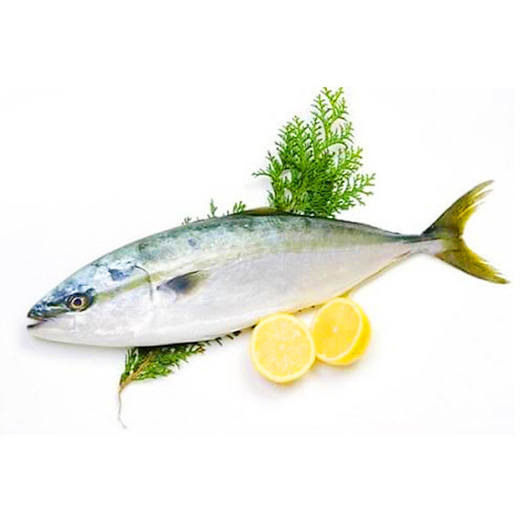 Cá Nục tươi (1kg) - Hàng bán thiên nhiên - Nhập tươi trong ngày