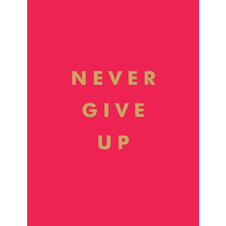 Never Give Up