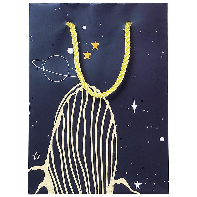 Túi Đựng Quà 16 x 22 x 8 cm - The Whale - Ảnh 4