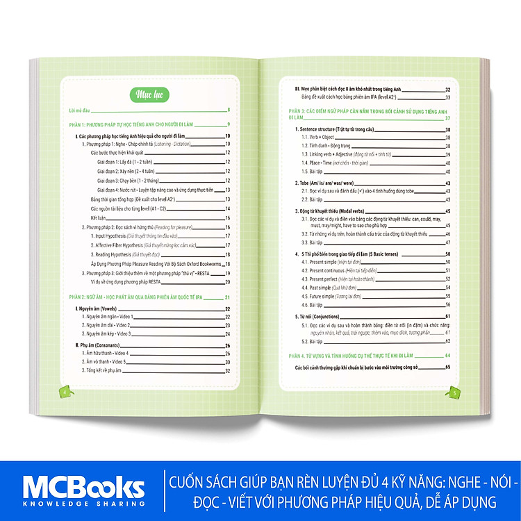 Tự Học Tiếng Anh Giao Tiếp Cho Người Đi Làm - Ảnh 3