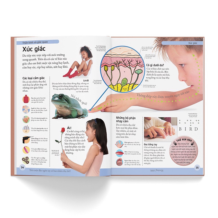 Bách Khoa Cho Trẻ Em – Bách Khoa Cơ Thể Người - Ảnh 3