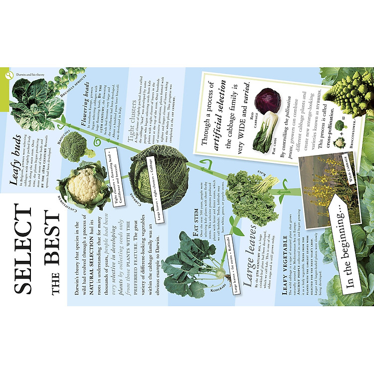 All About Evolution (Big Questions) - Ảnh 4