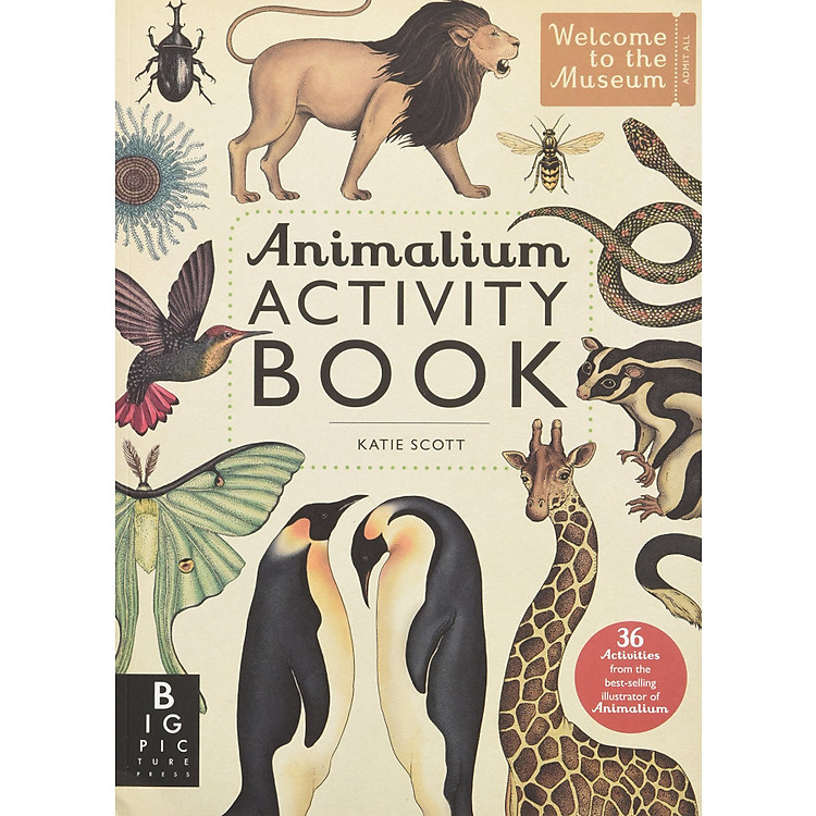 Animalium Activity Book