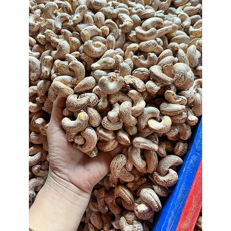 Hộp nắp giấy 500g Nguyên Hạt - Hạt điều Hoàng Linh Linh nhiều size thơm ngon giòn béo, rang mới hàng ngày