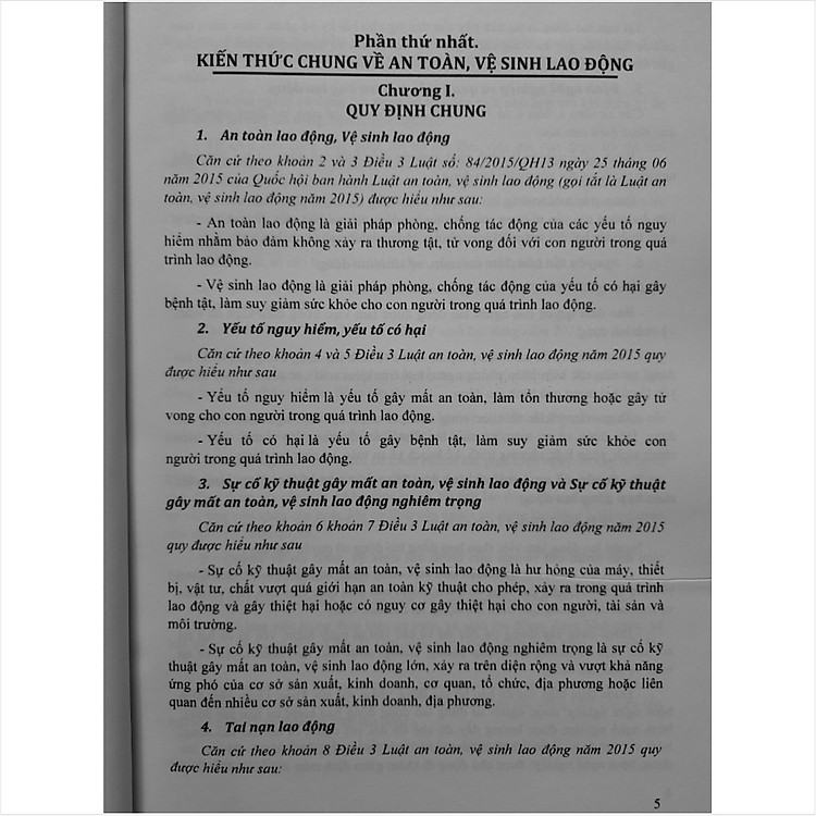 Cẩm Nang Hướng Dẫn Áp Dụng An Toàn Vệ Sinh Lao Động Trong Các Cơ Quan, Doanh Nghiệp - Ảnh 3