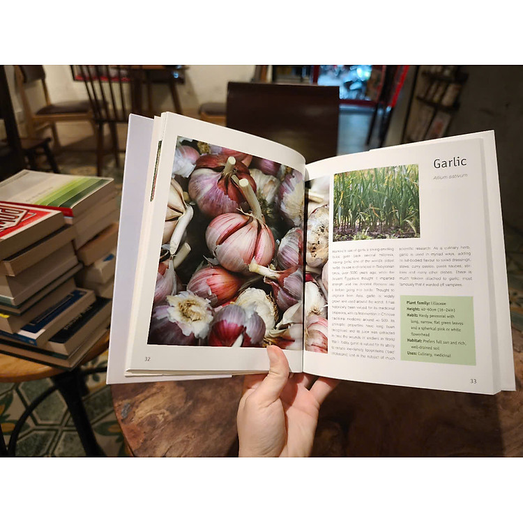 Guide to Herb With Journal by Jenny Linford - Ảnh 5