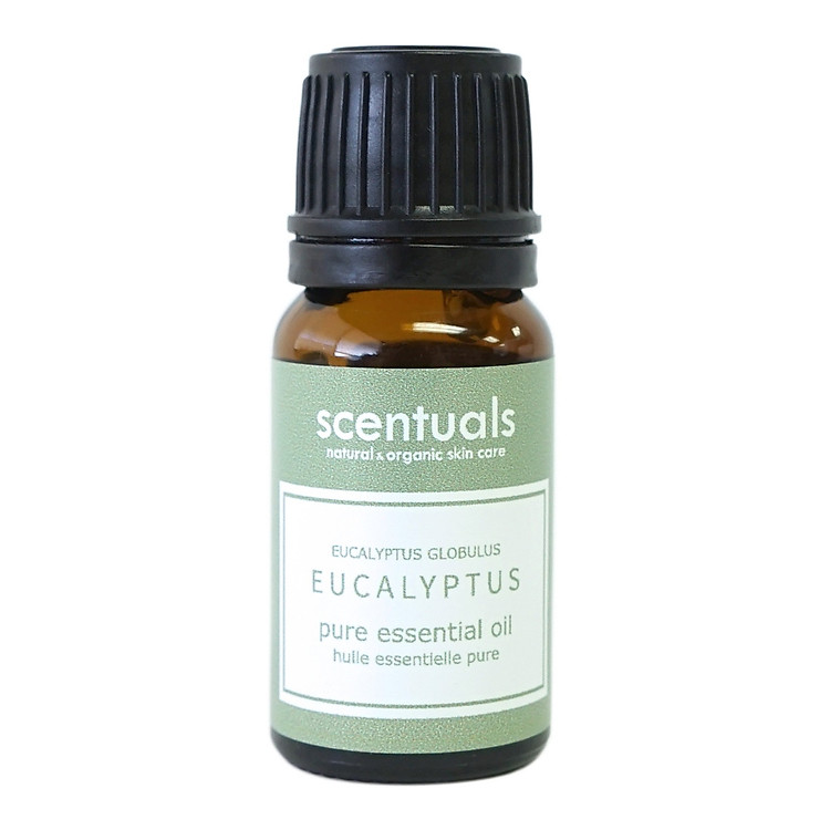 Tinh dầu bạch đàn xanh - Pure essential oil 10 ml - EUCALYPTUS RADIANTA