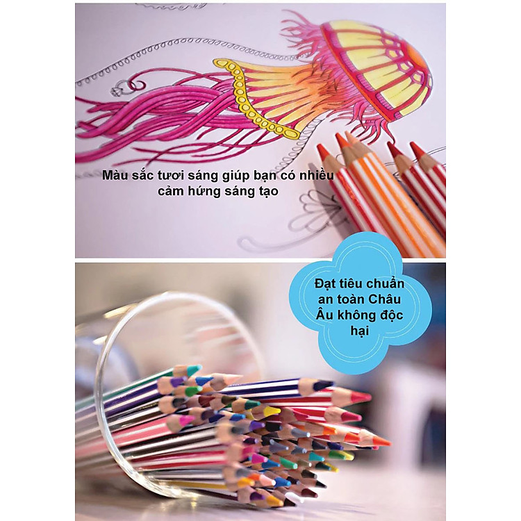 Bộ Bút Chì Màu Swans 36 Màu (Hộp 36 màu) - Ảnh 4