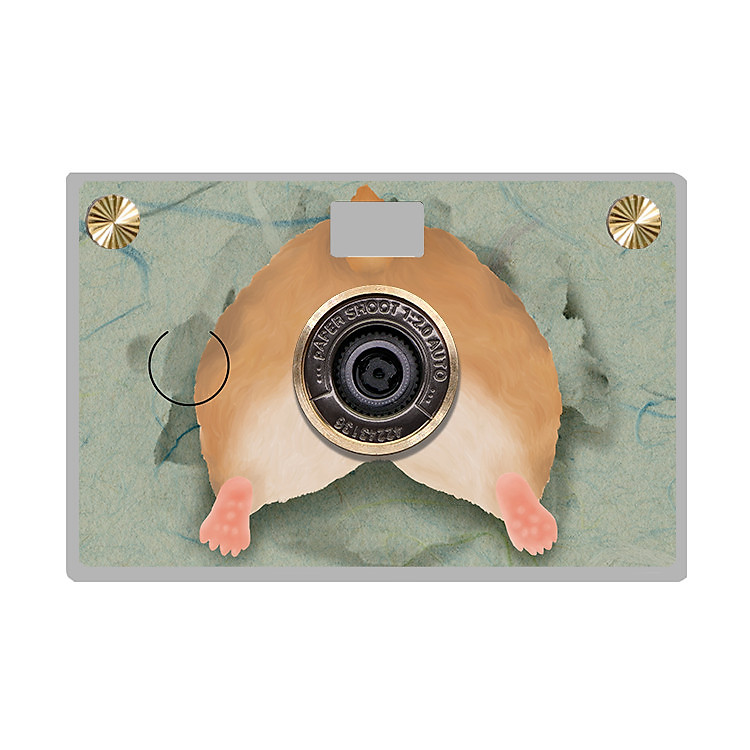 Máy ảnh kỹ thuật số Paper Shoot chính hãng, 13MP CMOS, 10s 1080p Video Fun Series