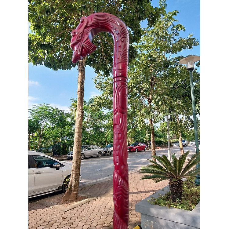 Gậy Chống Trượt Cho Người Già Uy tín Giá rẻ - Hình ảnh 5