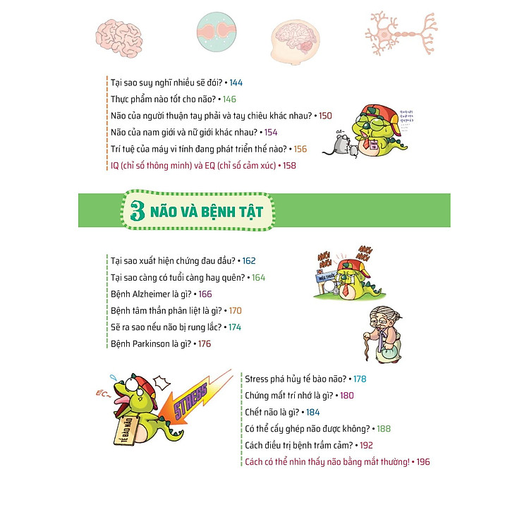 Quiz! Khoa Học Kì Thú - Khám Phá Não Bộ - Ảnh 6