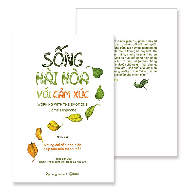 Sống Hài Hòa Với Cảm Xúc (Tái bản năm 2025) - Ảnh 3