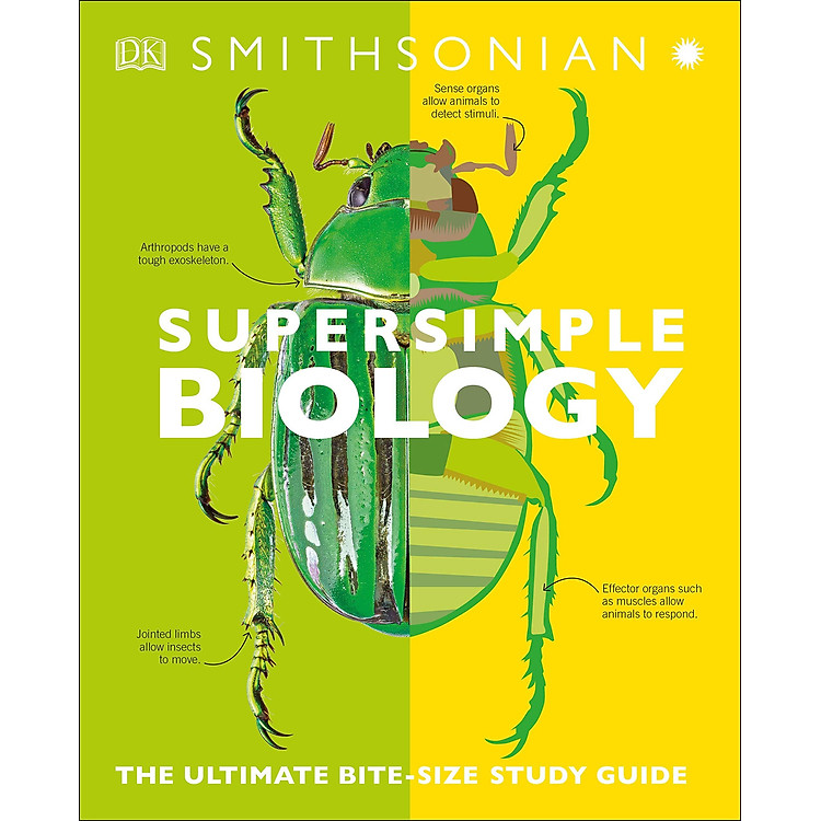 Biology: The Ultimate Bitesize Study Guide (Supersimple) - Ảnh 3