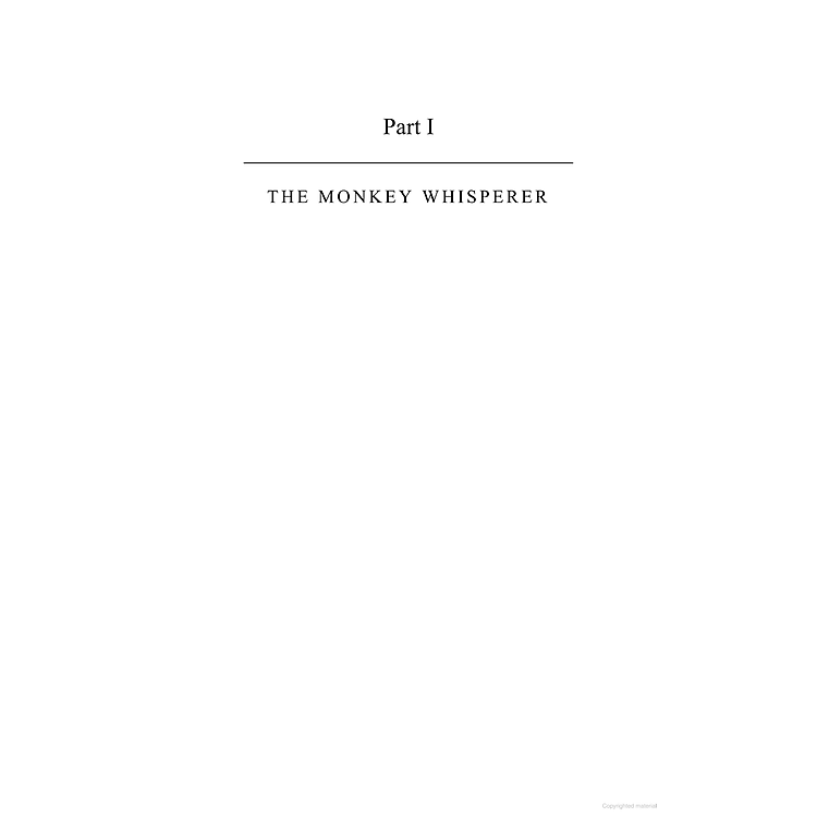 How To Master Your Monkey Mind - Ảnh 3