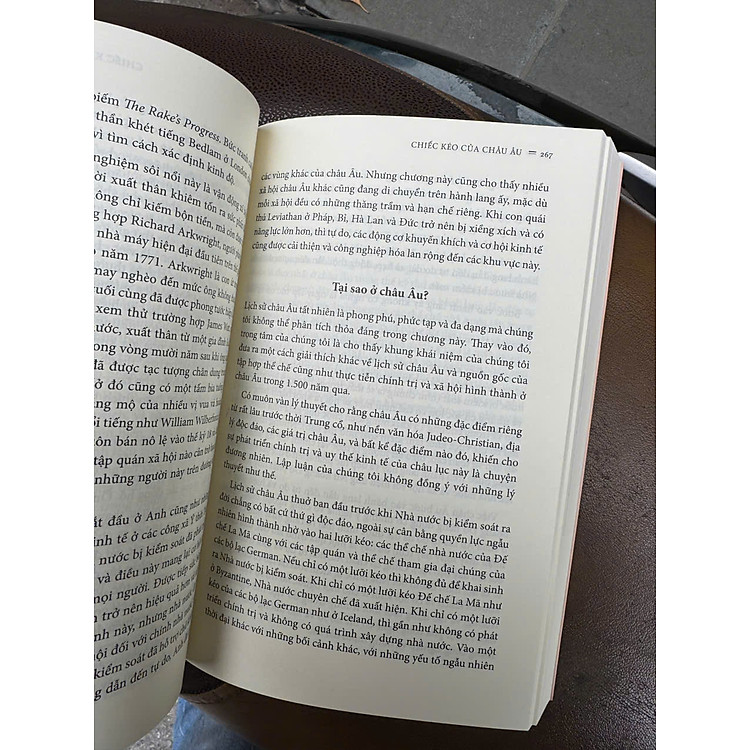 HÀNH LANG HẸP: Nhà Nước, Xã Hội, Và Vận Mệnh Của Tự Do - Ảnh 4