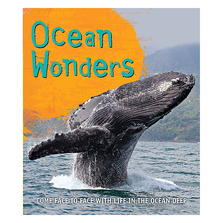 Sách Fast Facts! Ocean Wonders